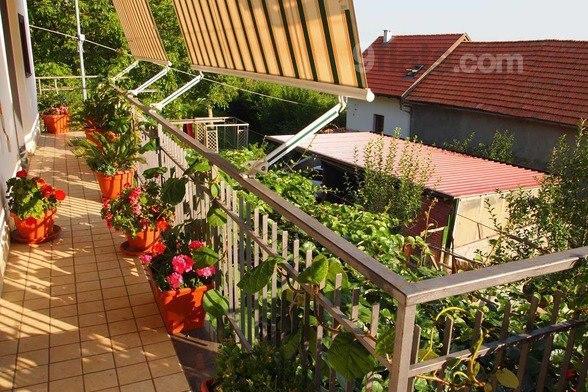Agriturismo Zi Carmine Agerola Kültér fotó